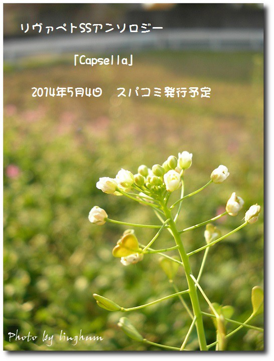 リヴァペトSSアンソロジー企画「Capsella」