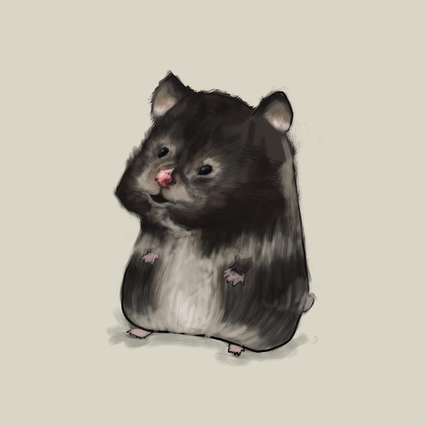 鼠