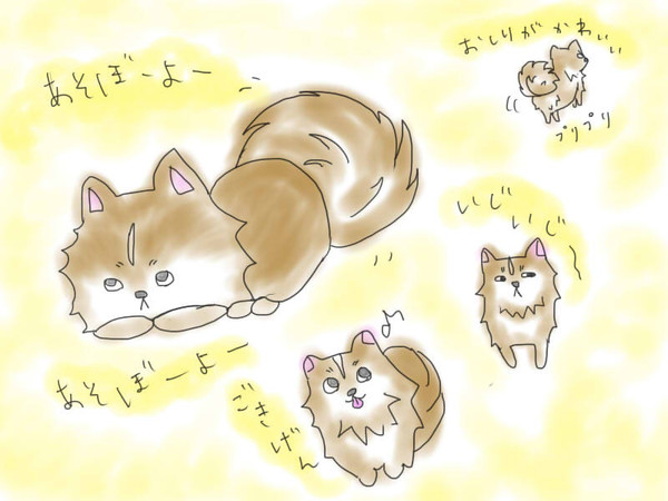 うちの子 ▽o・ェ・o▽