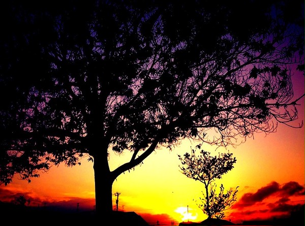 またあした