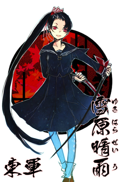【冬闘乱2013】雪原 晴雨【東軍】