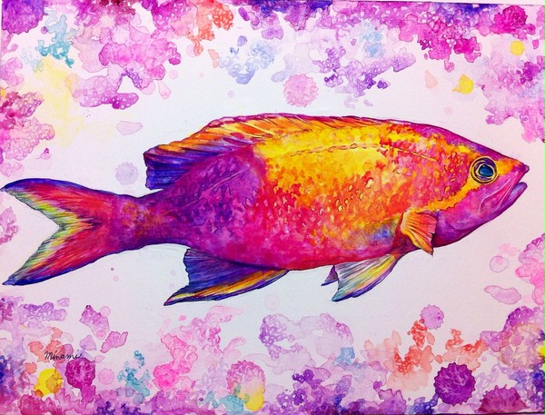 お魚天国②