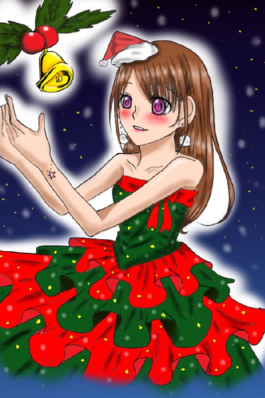 メリークリスマス☆彡