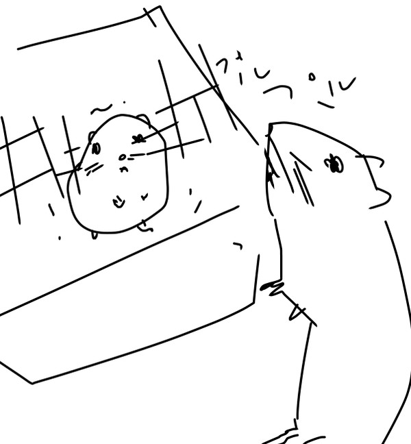 ハムスター