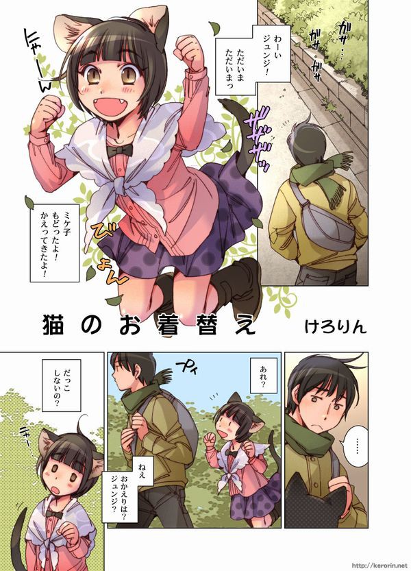 猫のお着替え