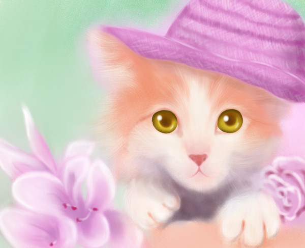 cat-1
