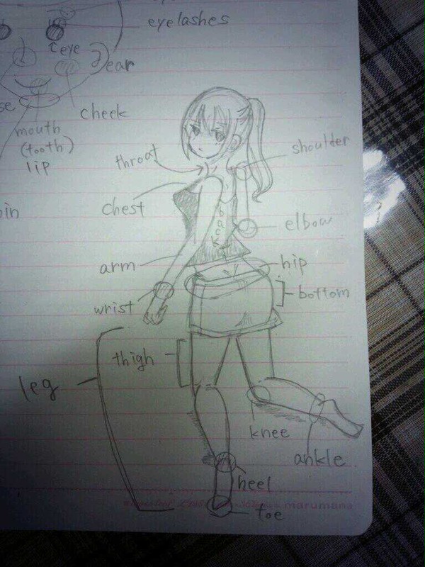 英語で体の部位を
