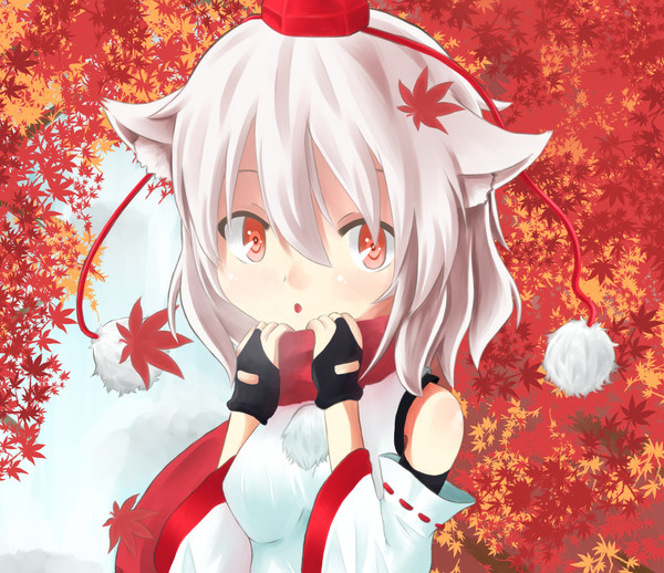 紅葉なる季節