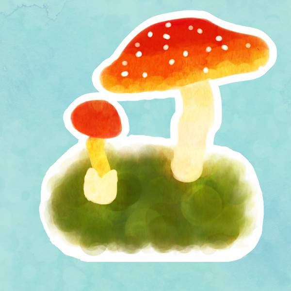 きのこ