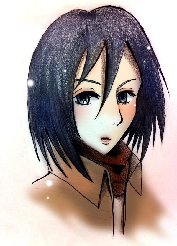 ミカサ　【進撃の巨人】