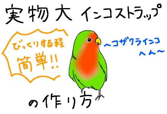 インコストラップを作ろう～コザクラインコの場合～