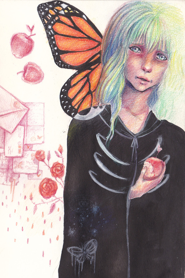 butterfly
