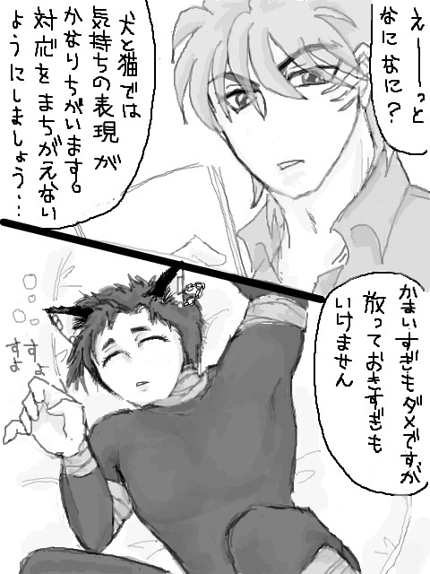 希少種　けもの実４