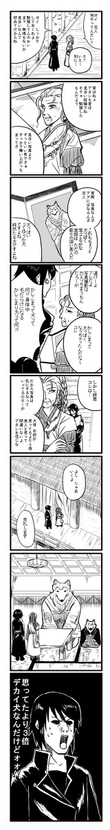 【遙か4】忍人のお見合い