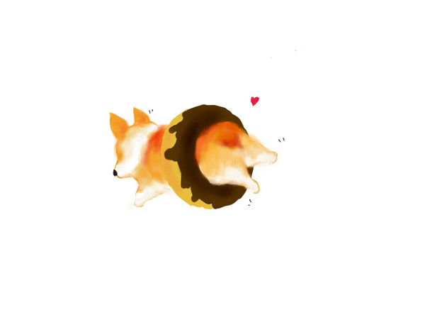 コーギー