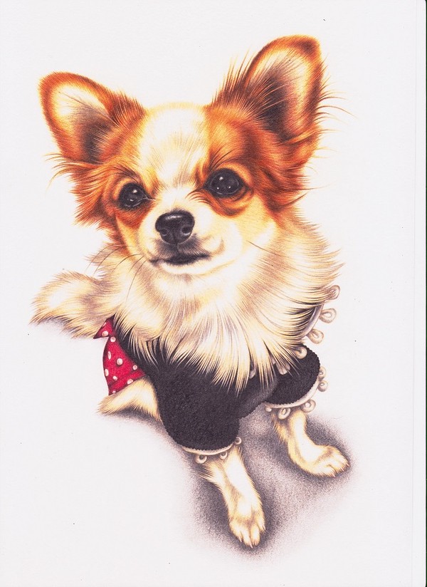 dog (Rin)