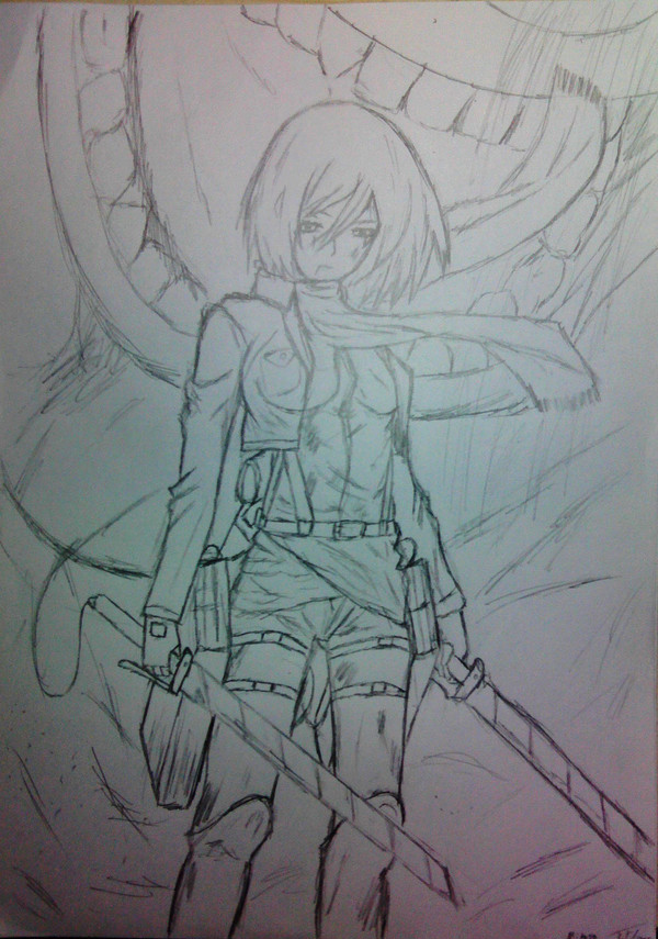 mikasa