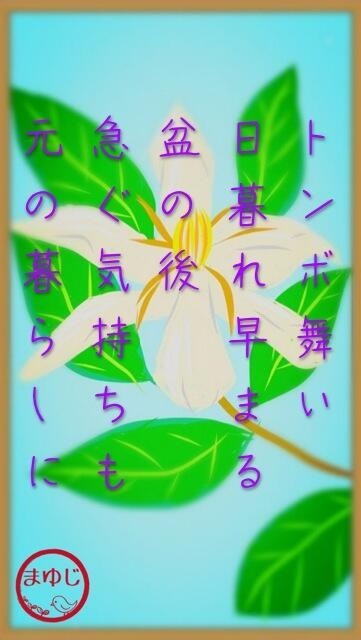 夏を思い出す
