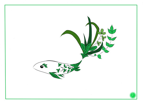 Forest Fish