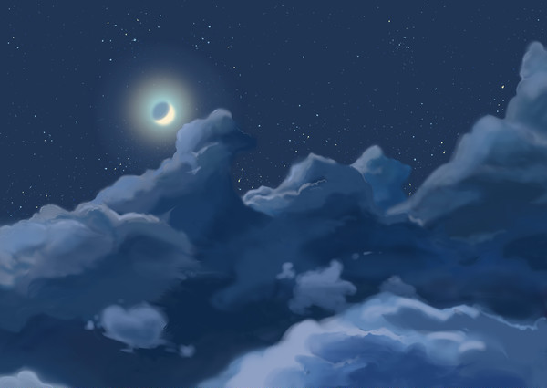 【桜花抄】夜空
