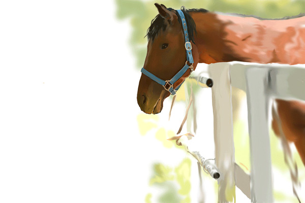 ジャンじゃないよ馬ｼﾞｬﾝ↑