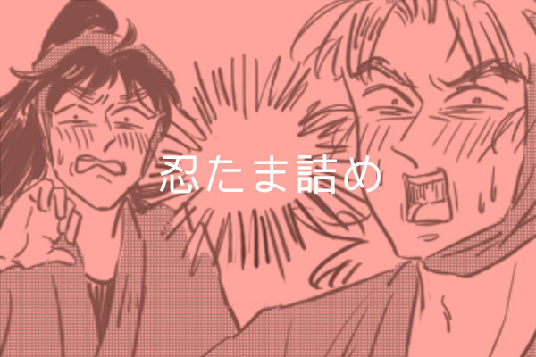 忍いろいろ詰め