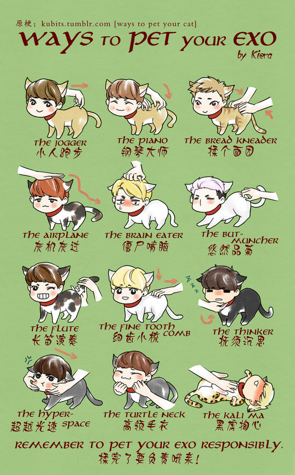 ways to pet your exo