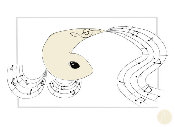 Music Notes Fish