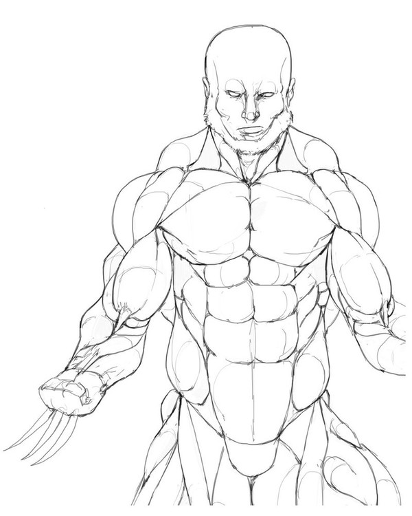 Wolverine