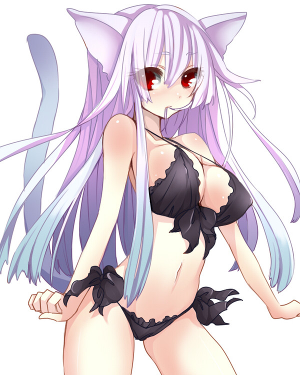黒ねこちゃん