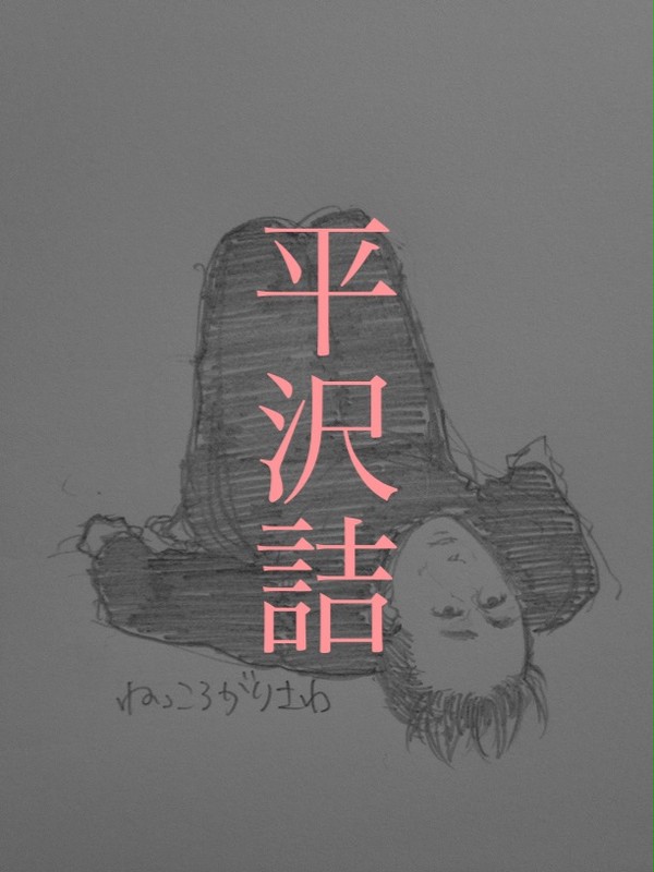 hrsw詰めました2013歳末