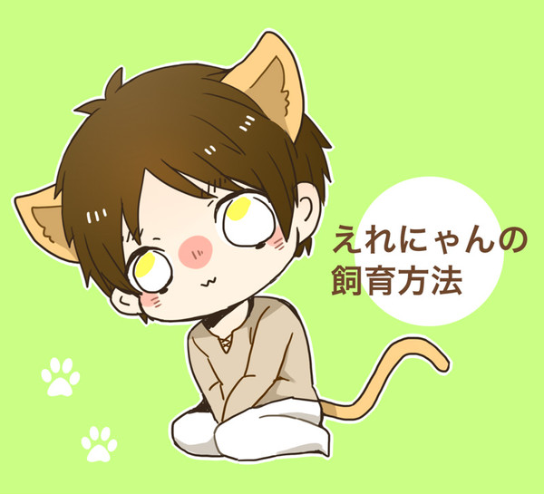 えれにゃんの飼育方法