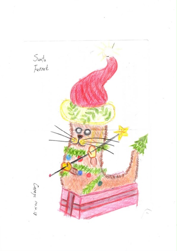 Рождество-Santa Ferret