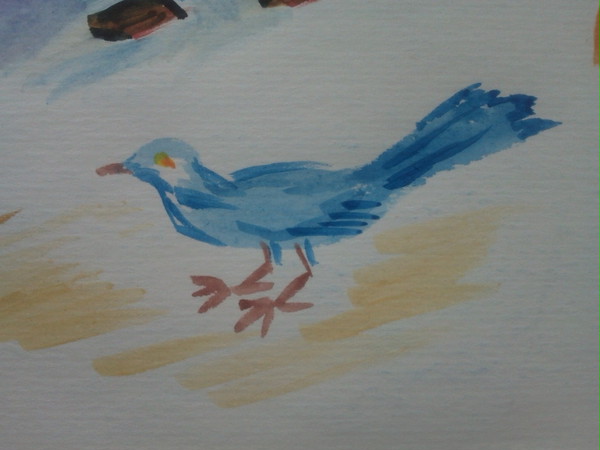 bird