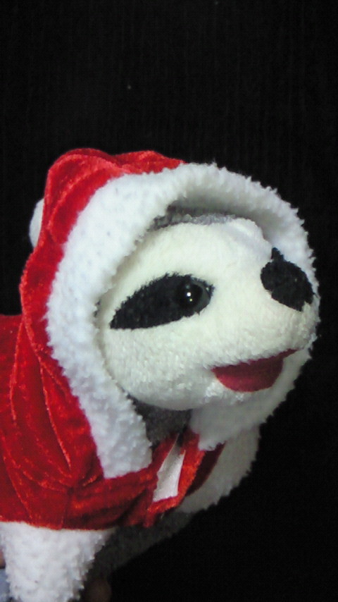 メリーナマケます
