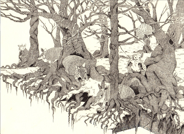 Forest  -armadillos-