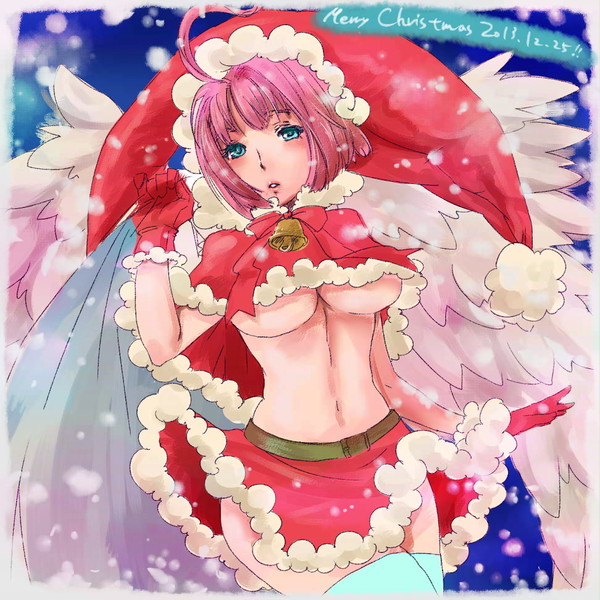 わグルま! サンタドミニオンin2013クリスマス