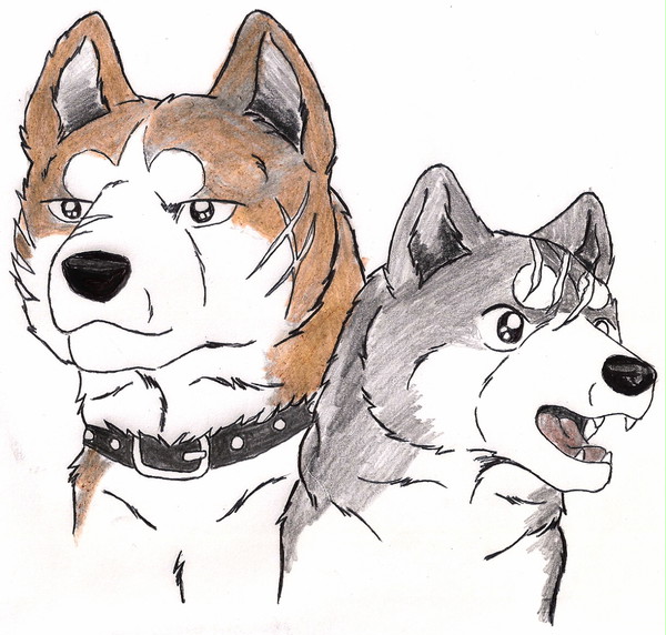 銀とリキ