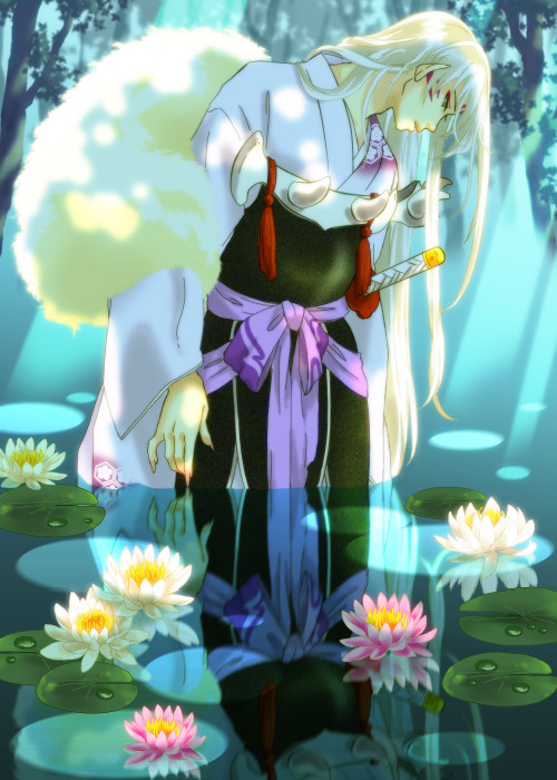 睡蓮