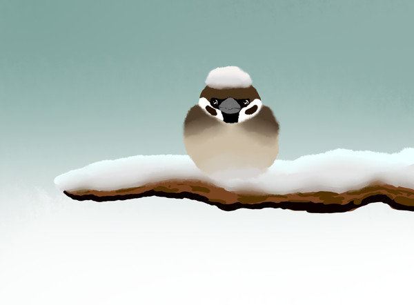ふくら雀