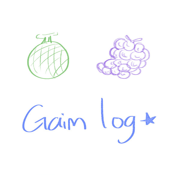 gaim log