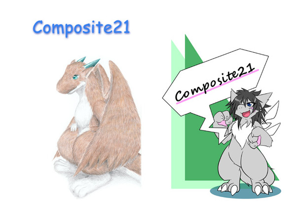 【C85】 新刊 Composite21