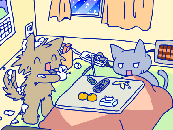 犬と猫