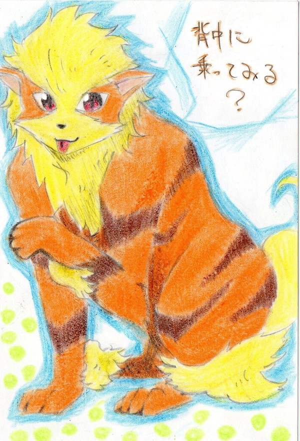 ウィンディ