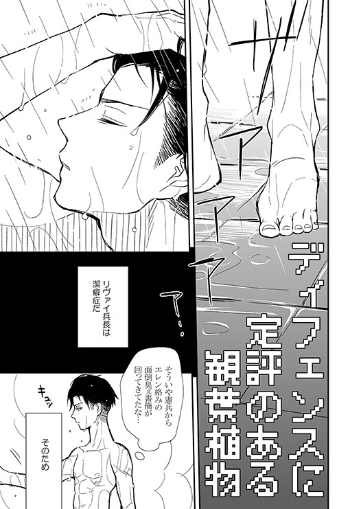 ディフェンスに定評のある観葉植物