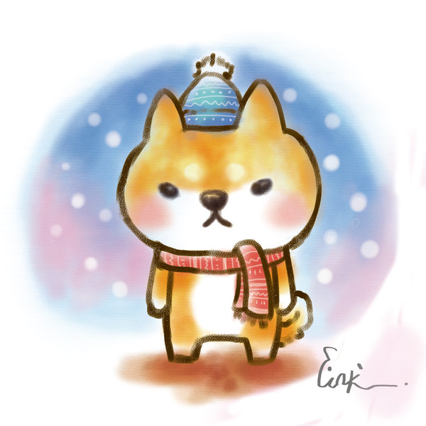 冬柴