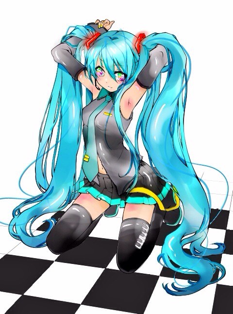 【塗らせて頂きました】初音ミク