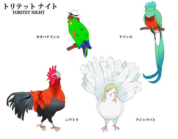 鳥まとめ