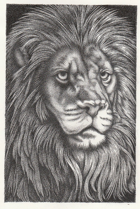Lion ～series　ZOO～