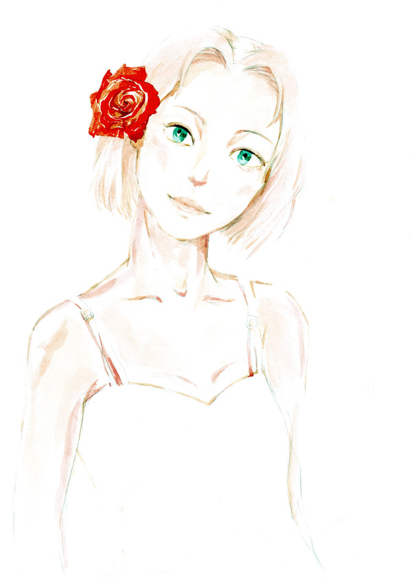 綺麗な花
